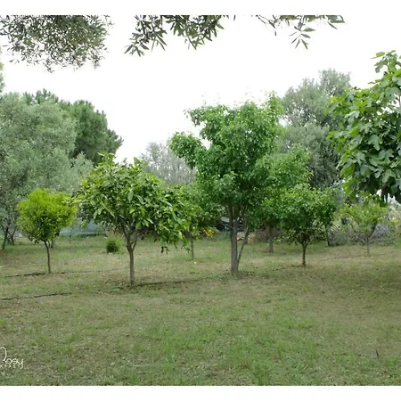Holiday home Il Giardino Di Rosy *
